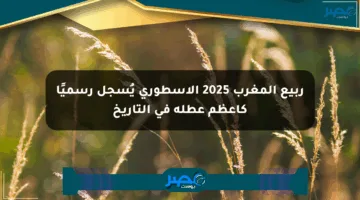 ربيع المغرب 2025 الأسطوري يُسجل رسميًا كأعظم عطلة في التاريخ
